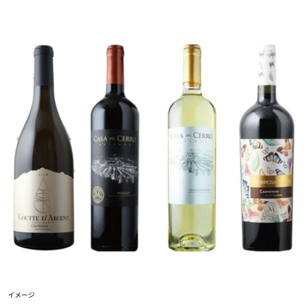 ワイン空瓶 2本セット コルク付き ムートンロートシルト99 モンラッシェ97 超安い品質 ワイン空瓶 2本セット コルク付き ムートンロートシルト99