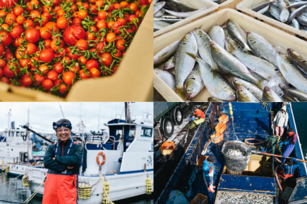 「つくってkuradashi」開発秘話