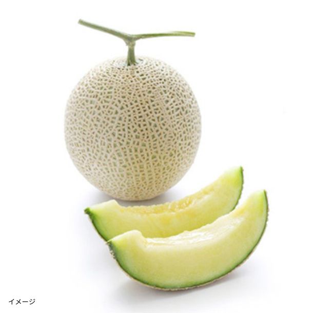 2025-06-17T120213.661.jpg?v=