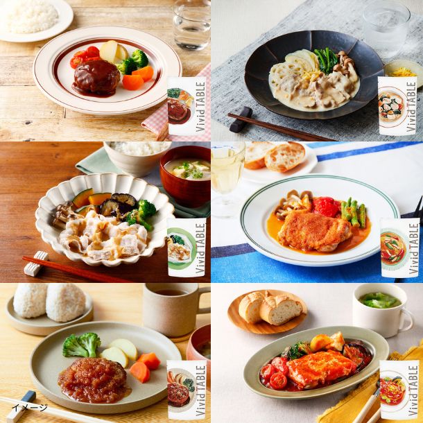 食卓 Vivid TABLE「国産食材の彩り冷凍宅食（6種）」計12食のお得通販