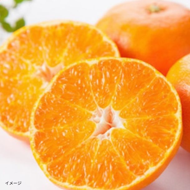 愛媛県産「甘平 家庭用」約2.5kgのお得通販｜Kuradashi(クラダシ)で