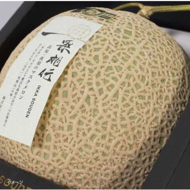 高知県産「一果相伝マスクメロン」1玉のお得通販｜Kuradashi(クラダシ