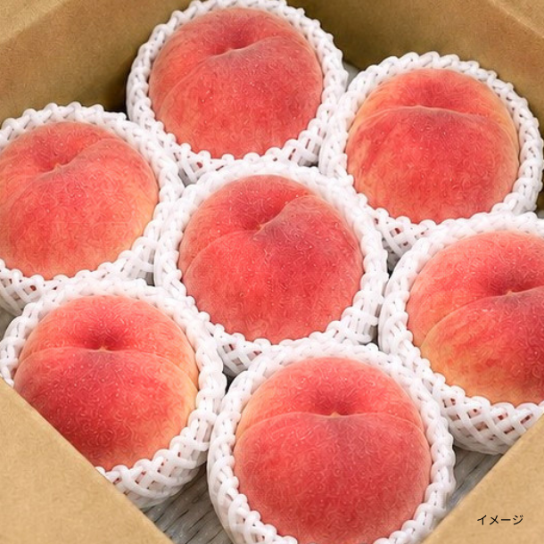 山形県産「さくら白桃（秀品）」のお得通販｜Kuradashi(クラダシ)で