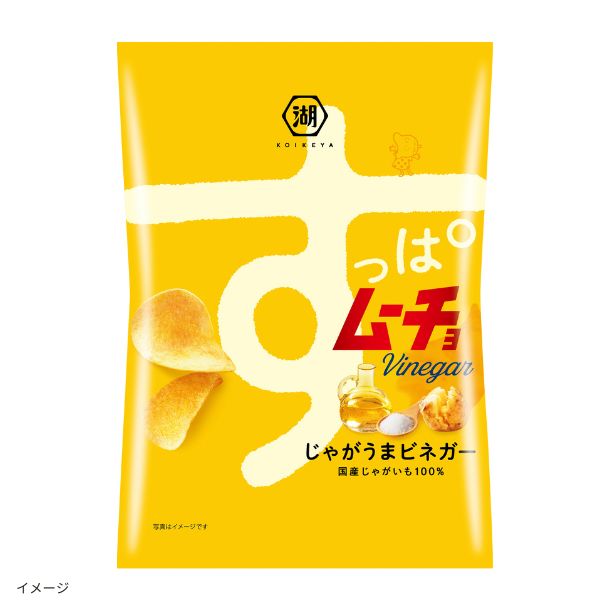 湖池屋「すっぱムーチョ じゃがうまビネガー」55gのお得通販