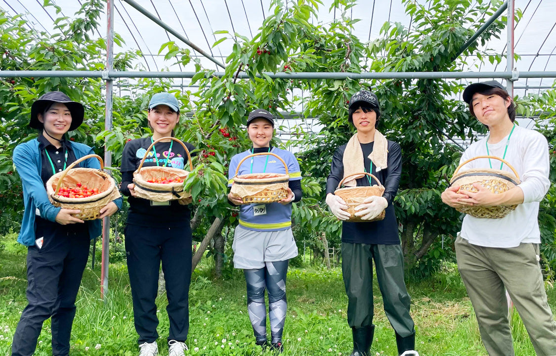 section.settings.title