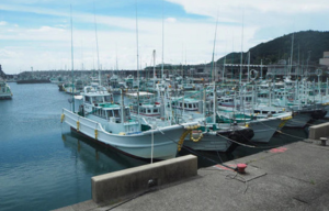 section.settings.title