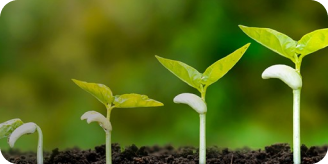 すべては”植物のチカラ®”から。