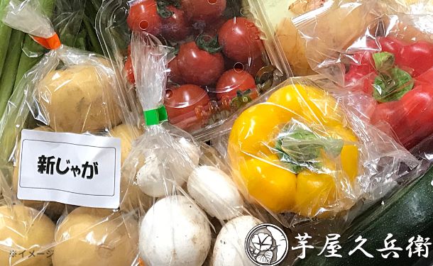 千葉県産・茨城県産「旬の野菜詰め合わせセット 12品目」の通販｜Kuradashiでフードロス・食品ロス削減！