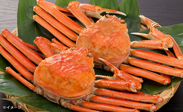 ずわい蟹」2杯の通販｜Kuradashiでフードロス・食品ロス削減！