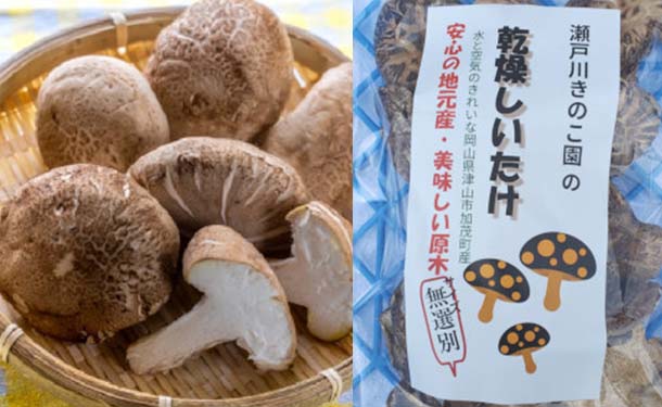 岡山県産「肉厚どんこ」200g×1パックの通販｜Kuradashiでフードロス・食品ロス削減！