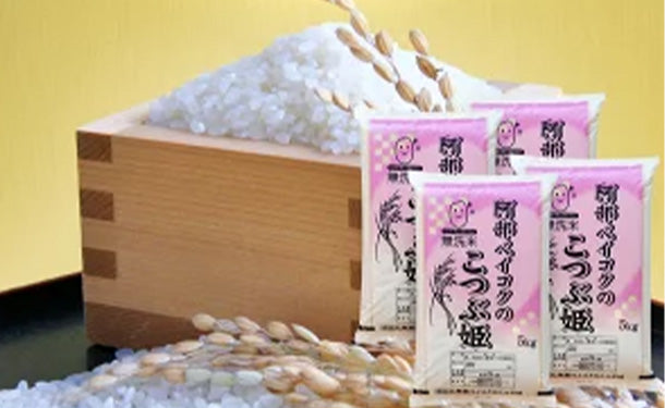 こつぶ姫　無洗米」5kg×4袋の通販｜Kuradashiでフードロス・食品ロス削減！