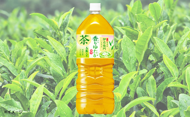 サントリー「伊右衛門 香りゆたか」2L×12本の通販｜Kuradashiで