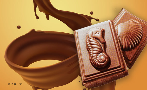 テイタウ「エクスクルーシブ カカオ35％ ミルクチョコレート」50g×24個 