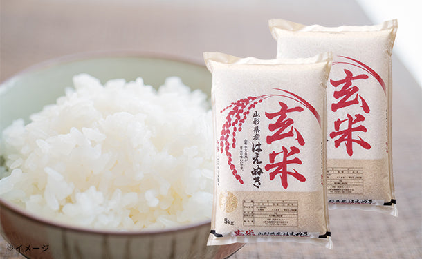 山形県産「はえぬき 玄米」5kg×1袋の通販｜Kuradashiでフードロス
