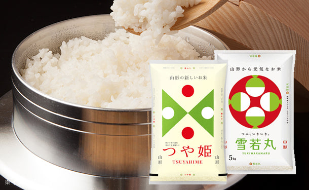 main01_1d13468e-55e3-472e-afd3 main01_1d13468e-55e3-472e-afd3