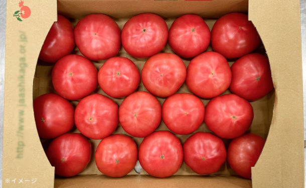豊洲市場直送「訳ありトマト」2kgの通販｜Kuradashiでフードロス・食品ロス削減！