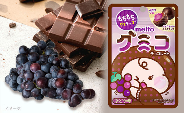名糖産業「グミコ チョコレート（ぶどう味）」37g×40個の通販