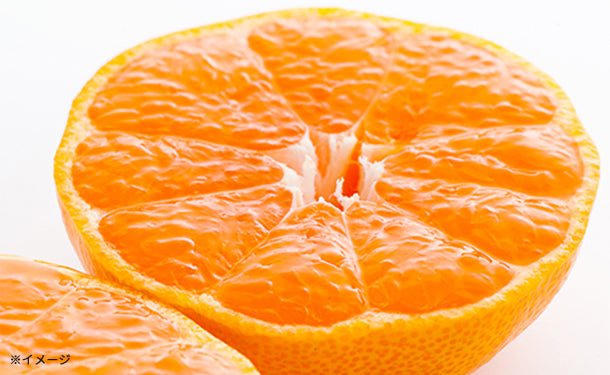 愛媛県産「訳あり 愛媛みかん（S-L）」3kgのお得通販｜Kuradashi