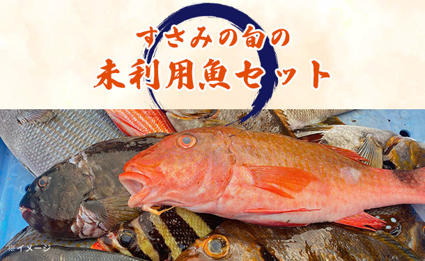 和歌山県すさみ町産「すさみの旬の未利用魚　お試しセット」1.0～1.5kgの通販｜Kuradashiでフードロス・食品ロス削減！