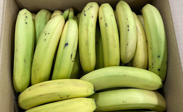 スミフル「甘熟王バナナ（規格外）」25～30本（約5kg）