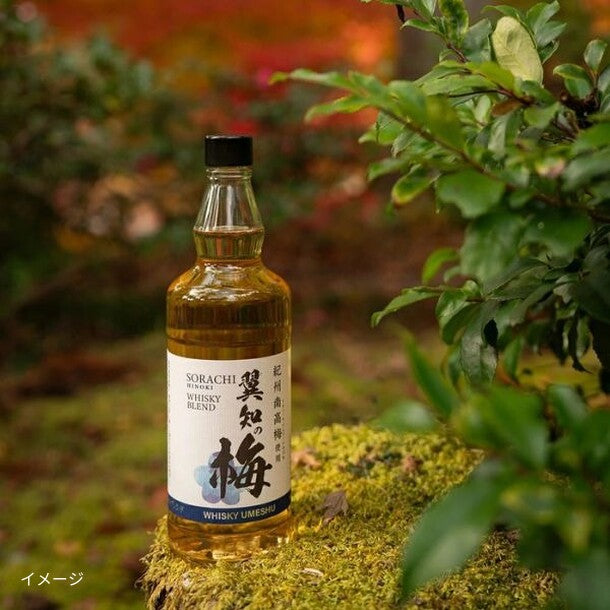 翼知の梅 ウイスキーブレンド梅酒」のお得通販｜Kuradashi(クラダシ)で