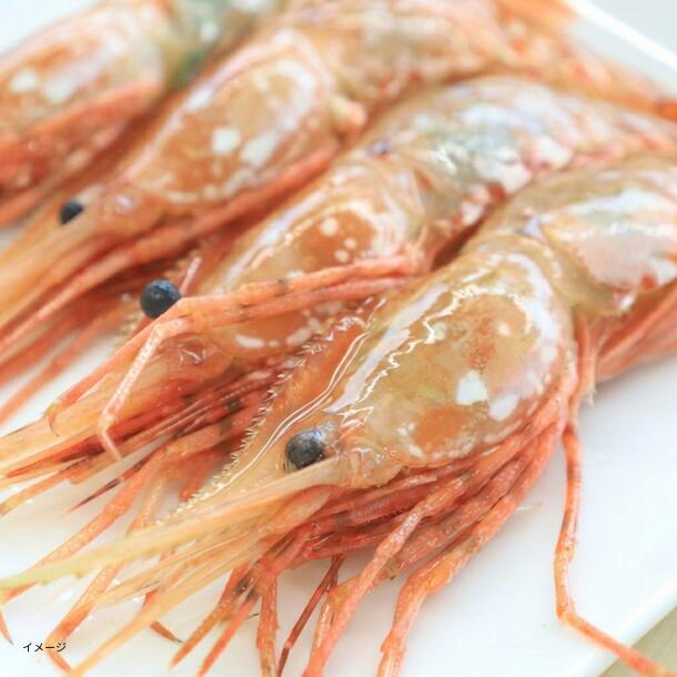 北海道産「ボタンエビ」のお得通販｜Kuradashi(クラダシ)でフードロス