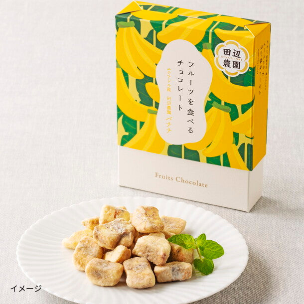 ANAフーズオリジナル「フルーツを食べるチョコレート 田辺農園バナナ