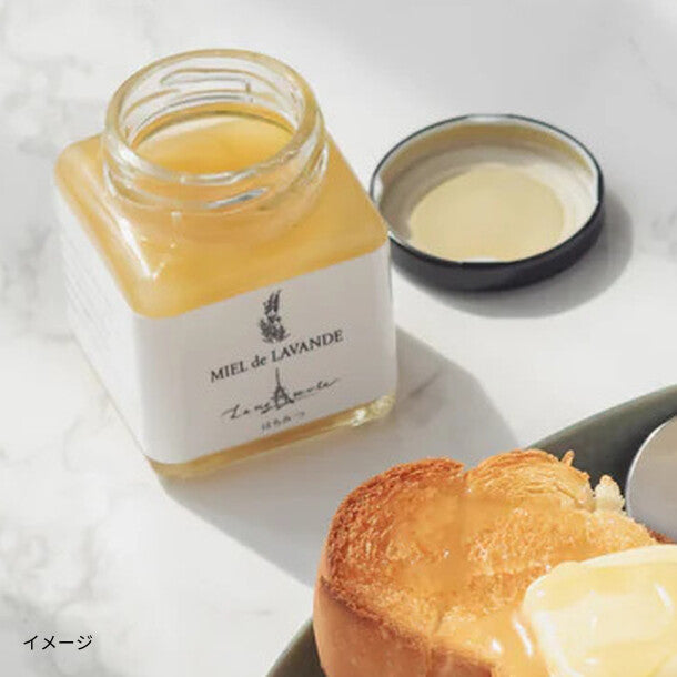 南フランス産「ラベンダーはちみつ」 125gのお得通販｜Kuradashi