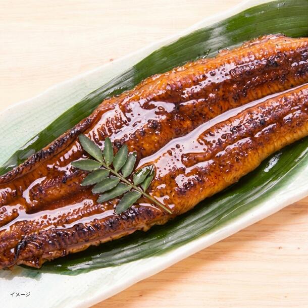 中国産「うなぎ蒲焼き 1尾真空パック」約140gのお得通販｜Kuradashi