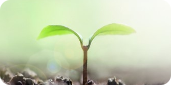 ハチ食品のCSR活動