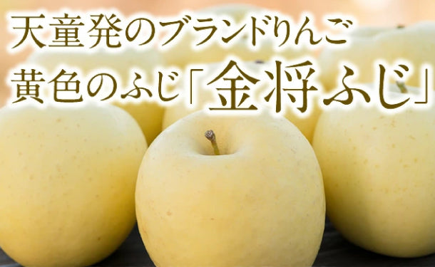 山形県産「金将ふじりんご（優品・糖度13度以上）」約10kg（玉数おまかせ）