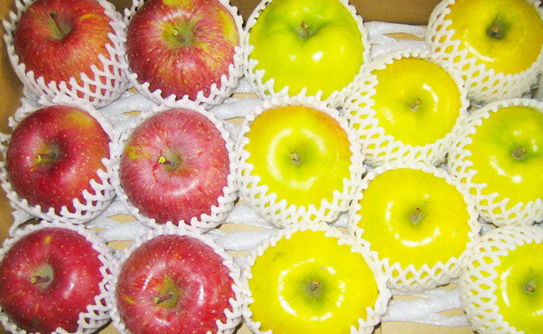 青森県産「りんご詰合せ」約5kg（15玉前後）の通販｜Kuradashiでフードロス・食品ロス削減！