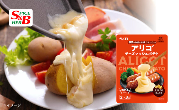 エスビー食品 チーズアラカルト アリゴ 240g 4袋セット