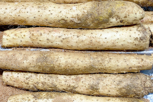 長芋の保存ガイド！常温・冷蔵・冷凍で長持ちさせる秘訣と絶品レシピも紹介