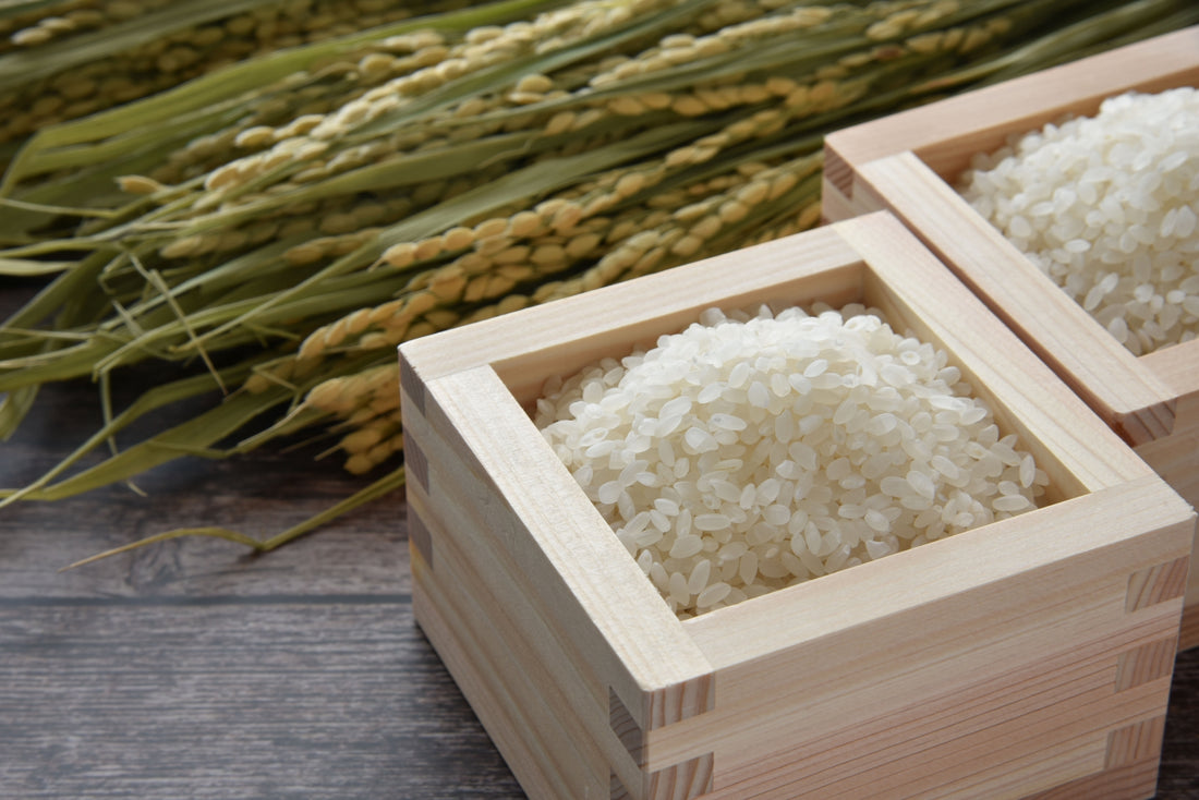 米の種類や歴史、作り方、お得に買う方法、品種ごとの特徴も紹介