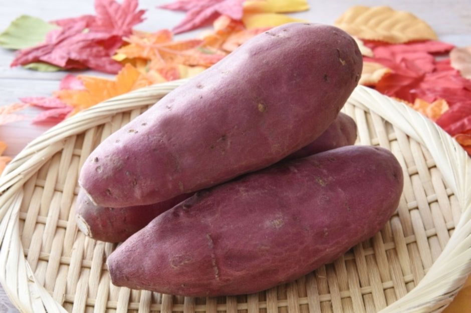 さつまいもの保存方法ガイド！保存期間や長持ちさせる秘訣を紹介