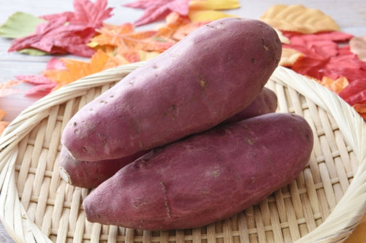 さつまいもの保存方法ガイド！保存期間や長持ちさせる秘訣を紹介