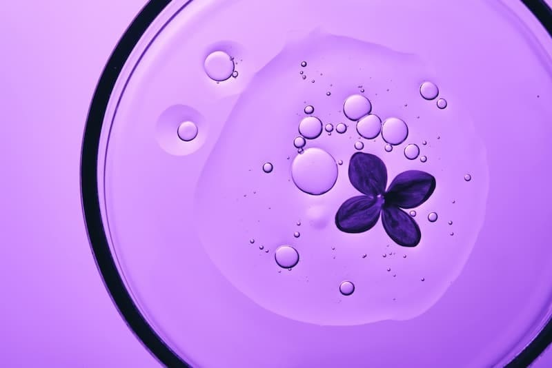 紫シャンプーおすすめ14選！【2026年最新】市販で買える人気商品を比較