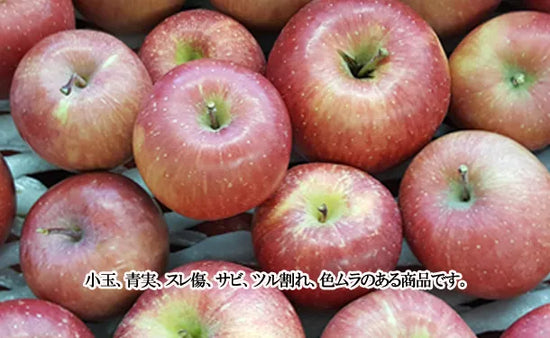 青森県「旬のりんご福箱(数品種・無選別)」約10kgのお得通販 青森県「旬のりんご福箱(数品種・無選別)」約10kgのお得通販