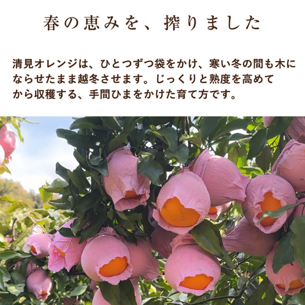 和歌山県産「清見オレンジジュース」