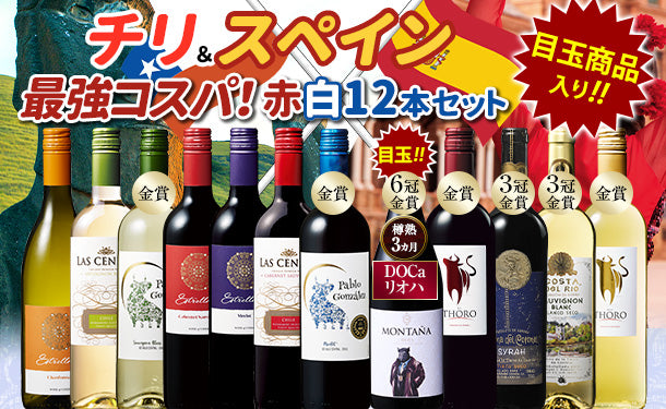 「コスパ抜群！金賞受賞含むチリスペインワインセット」750ml×12本【予約販売／2024年10月中旬以降お届け】