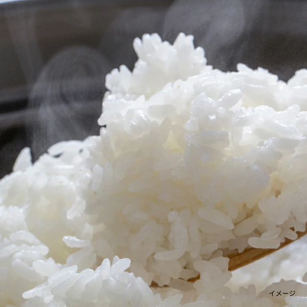 三重県産「新米 令和8年度産 コシヒカリ」