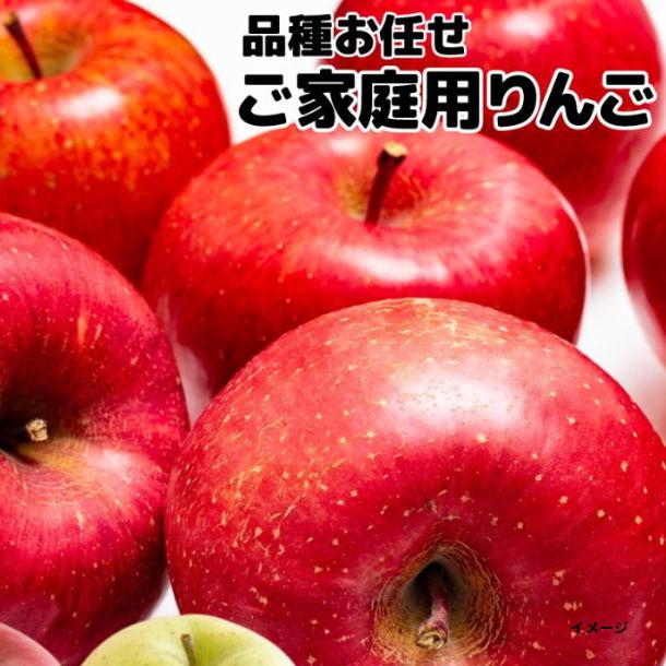 訳あり 品種お任せりんご（津軽・サンフジ・シナノスイート・王林など