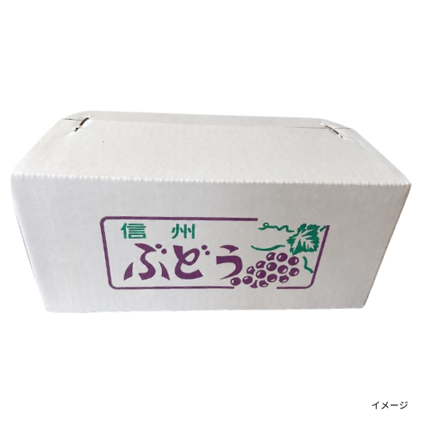 長野県産「シャインマスカット （家庭用）」