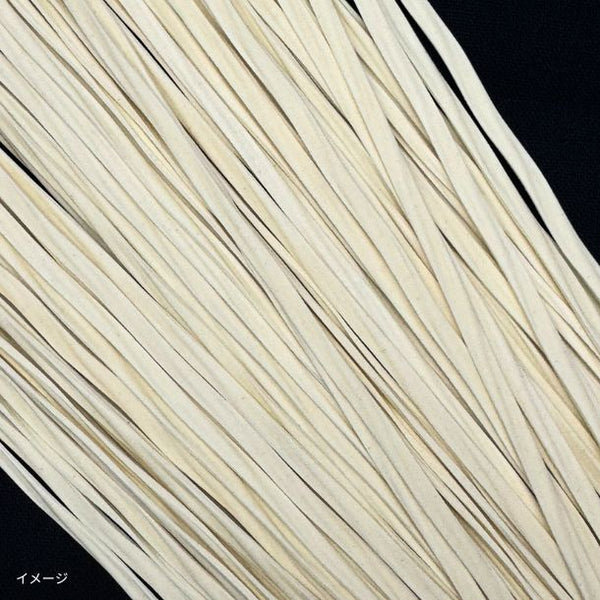 「いのちのうどん」