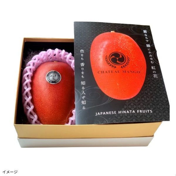 宮崎完熟マンゴー「プレミアムマンゴー「歌舞伎座」500g×2玉 HOKUSAIGIFT」