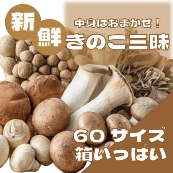 「何が入るかはお楽しみ こだわりの鮮度抜群きのこ三昧」