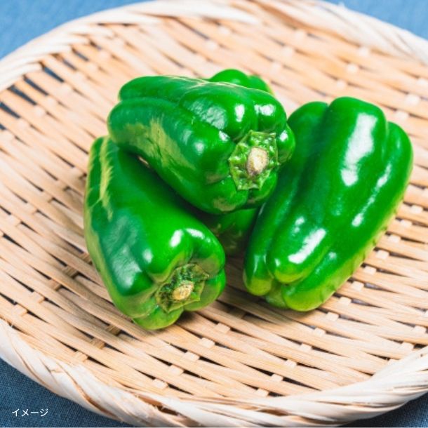 千葉県産「房総野菜 無限ピーマン」約800gのお得通販｜Kuradashi