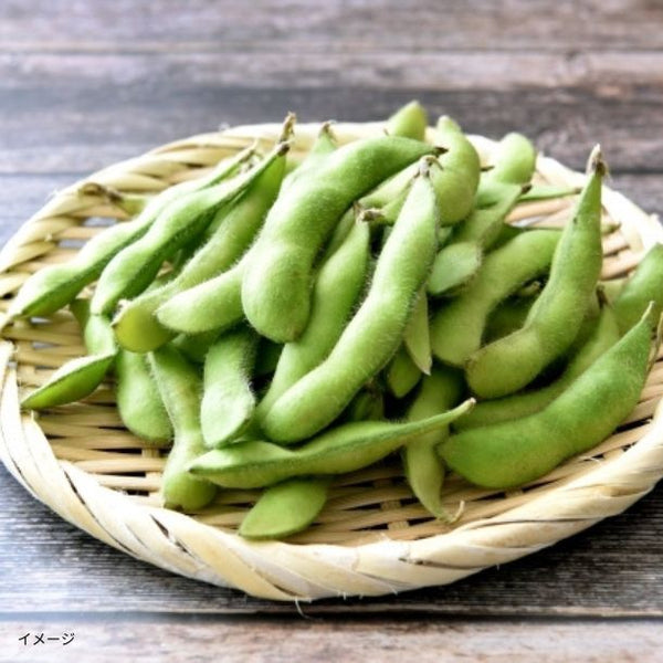 「房総枝豆」