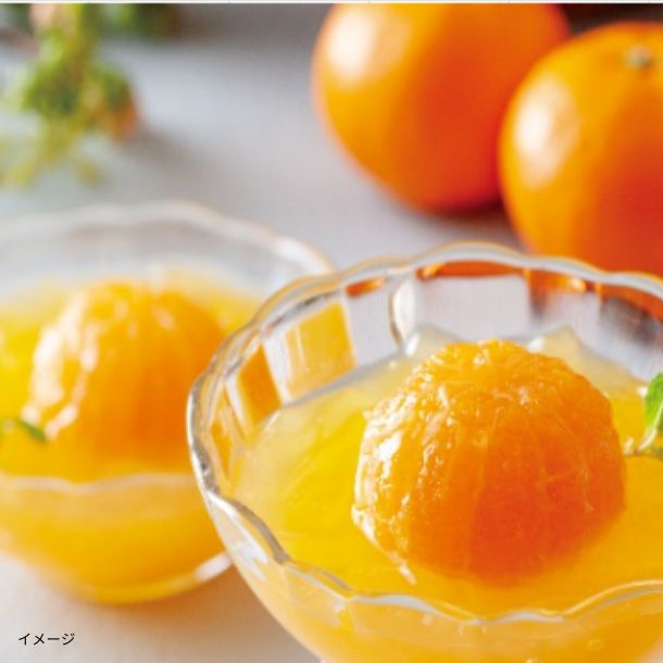 0167みかんページ 和歌山県産まるごと蜜柑ジュレ（MMB-C5）」のお得通販